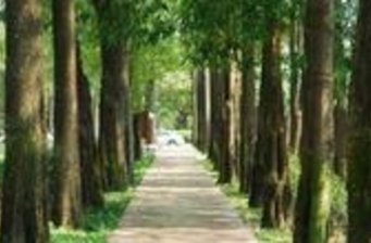 臺中經國綠園道