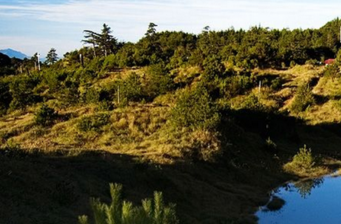 福壽山農場