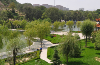柳湖公園