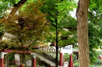 廣德寺