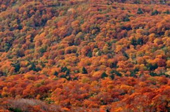巴中蓮花山