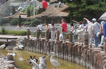 林內公園