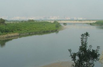 臺(tái)西鄉(xiāng)臺(tái)西沿海濕地
