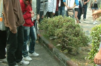 林內(nèi)鄉(xiāng)烏涂發(fā)電廠