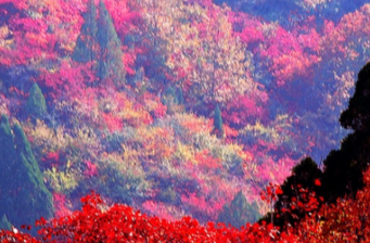 香山