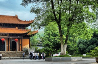 乾明寺