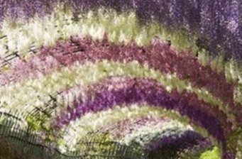 許昌花都溫泉小鎮