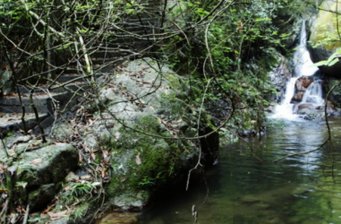 大容山國家森林公園