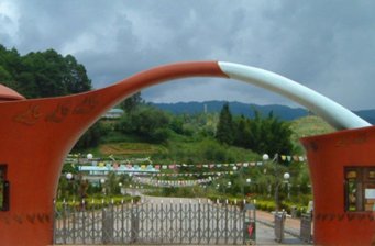 茶文化風景園