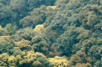西隆山