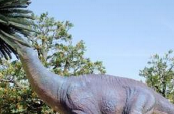 瑪納斯縣北公園