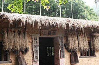 頭城農場