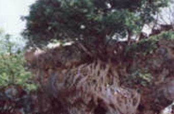 龍潭溶洞