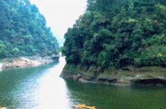 白牛寨森林公園