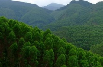 八臺山