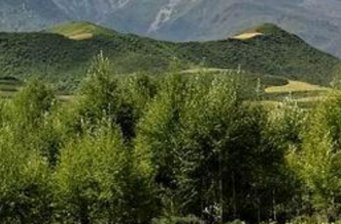 樂(lè)都南山