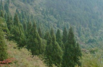白兆山