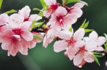 三潭風(fēng)景區(qū)
