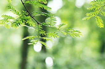 隨州高貴三潭風景區(qū)