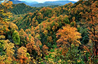 益壽山森林公園