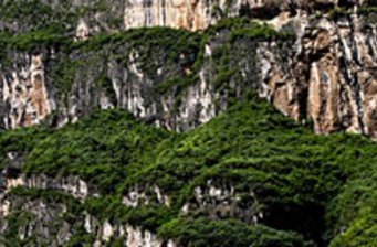 仙人洞自然保護(hù)區(qū)