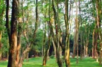 舜耕山國家森林公園