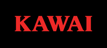 KAWA中文網(wǎng)