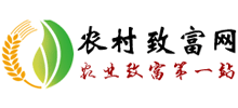 農(nóng)村致富網(wǎng)