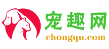 寵趣網(wǎng)