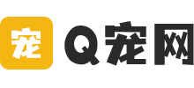 Q寵網(wǎng)