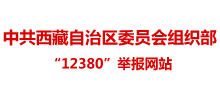 西藏自治區黨委組織部“12380”舉報網站