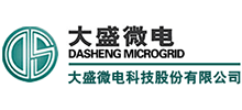 大盛微電科技股份有限公司 大盛微電科技股份有限公司