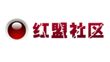 中國紅客聯(lián)盟