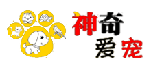 神奇愛寵網