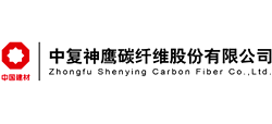 中復神鷹碳纖維股份有限公司 中復神鷹碳纖維股份有限公司