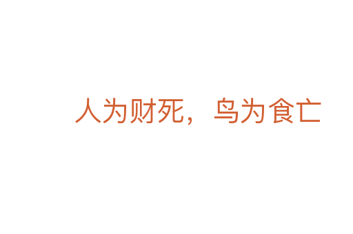 人為財死，鳥為食亡