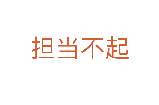 擔(dān)當(dāng)不起