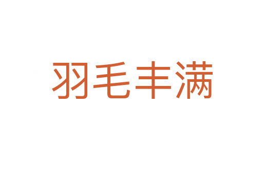 羽毛豐滿(mǎn)