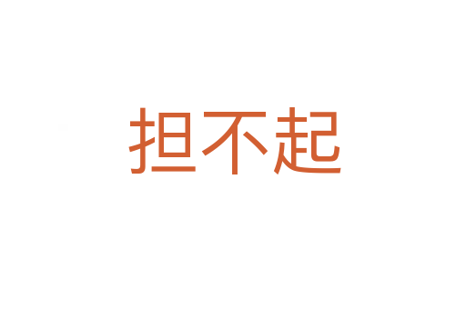 擔(dān)不起