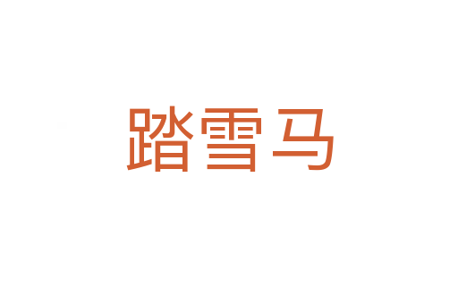 踏雪馬