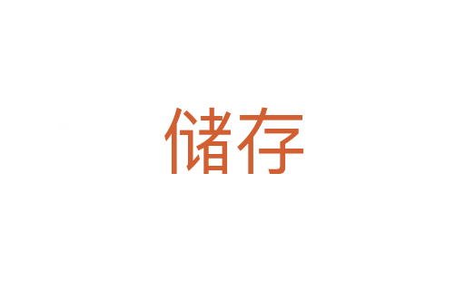 儲存