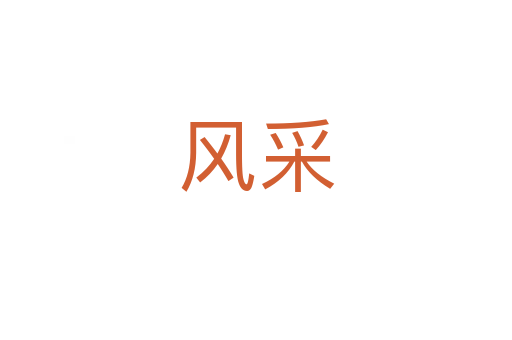 風(fēng)采