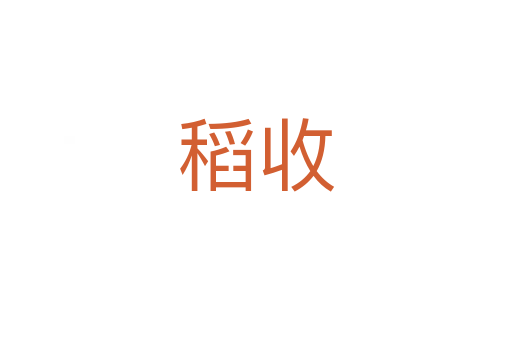 稻收