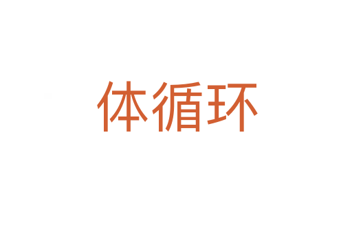 體循環(huán)