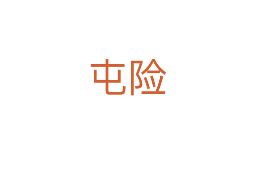 屯險