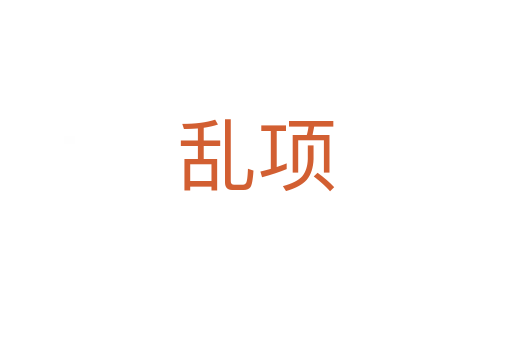 亂項
