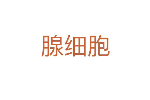 腺細(xì)胞