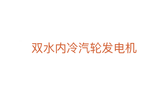 雙水內冷汽輪發電機
