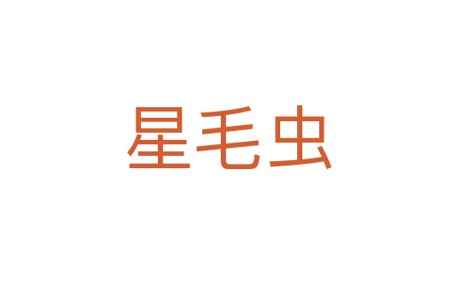 星毛蟲