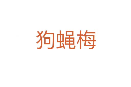 狗蠅梅